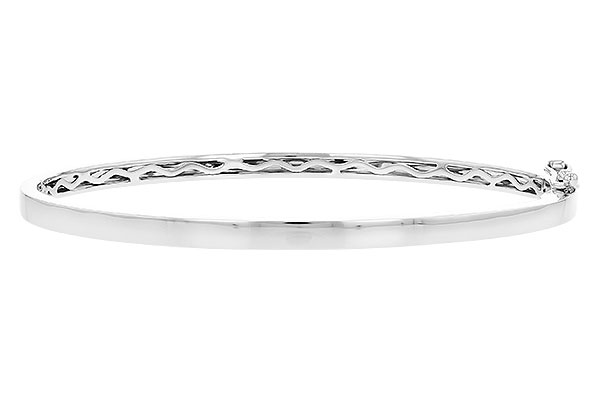H291-44830: BANGLE (D207-77585 W/ CHANNEL FILLED IN & NO DIA)